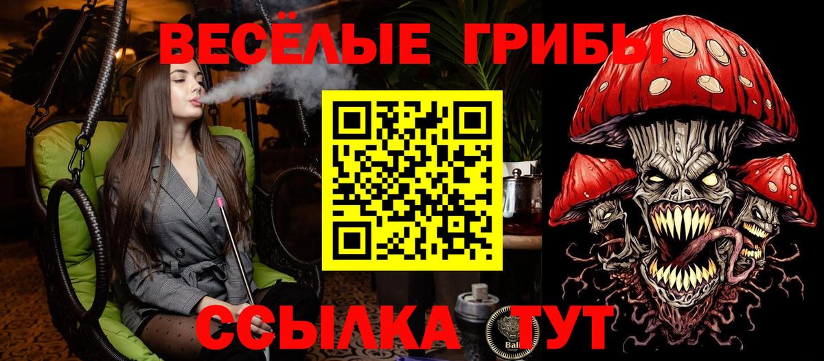 Галлюциногенные грибы Psilocybine cubensis Великий Устюг